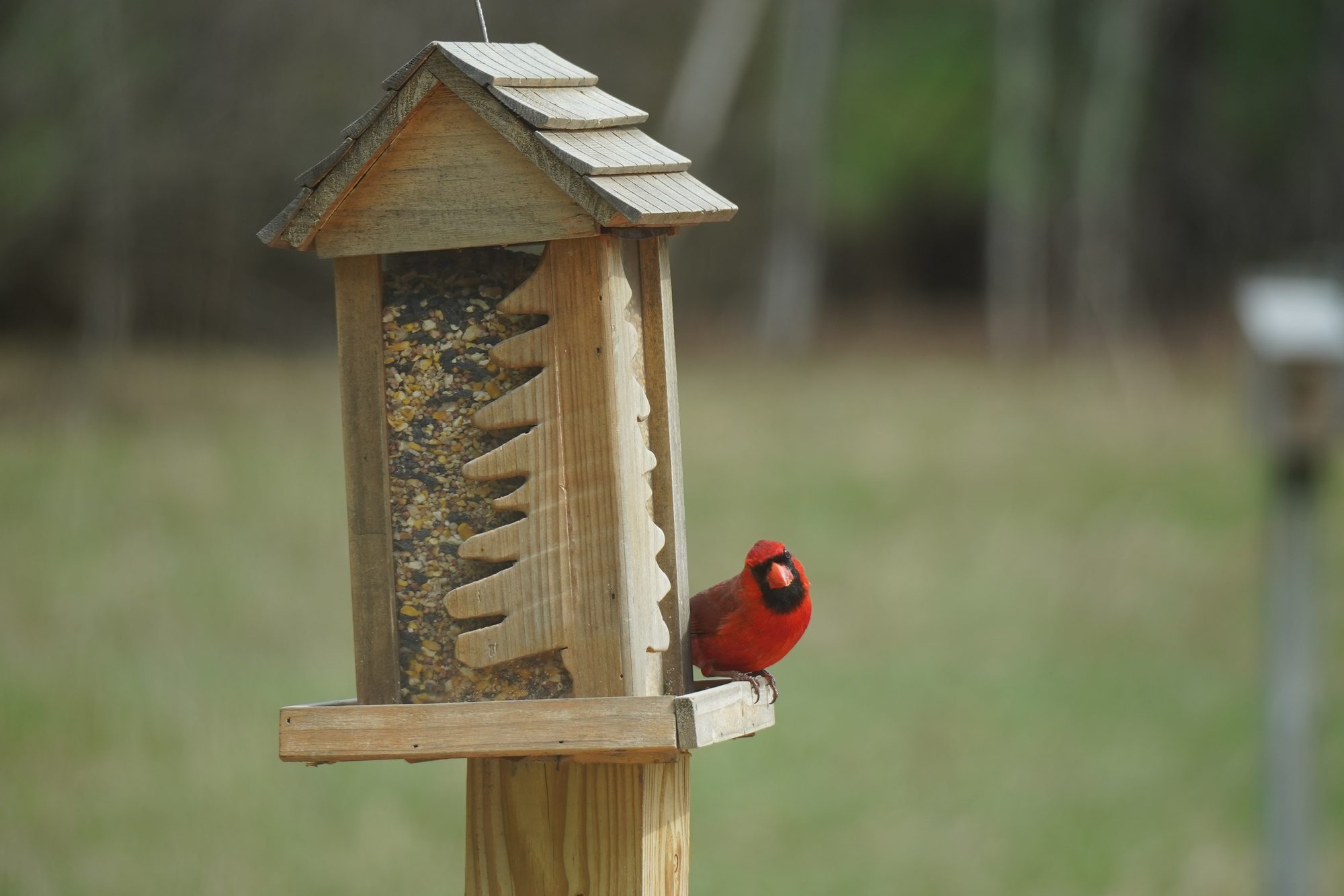 Artistic photography by Orion Media