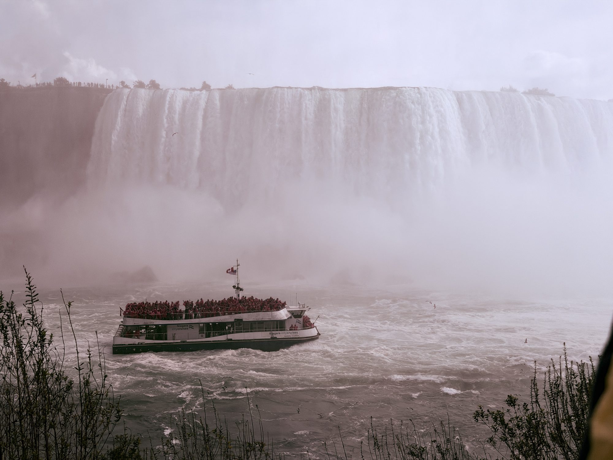 Artistic photography by Orion Media