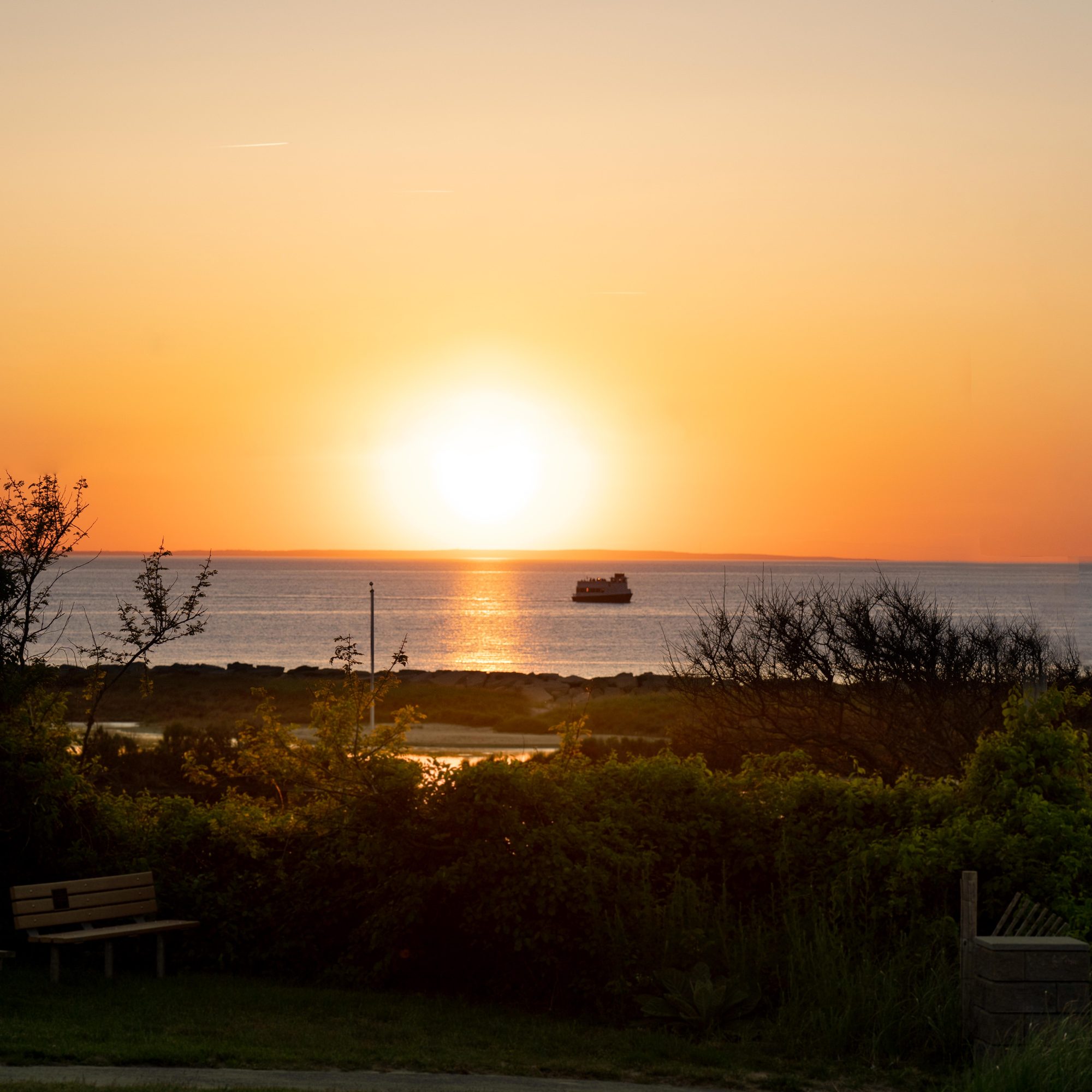 Artistic photography by Orion Media