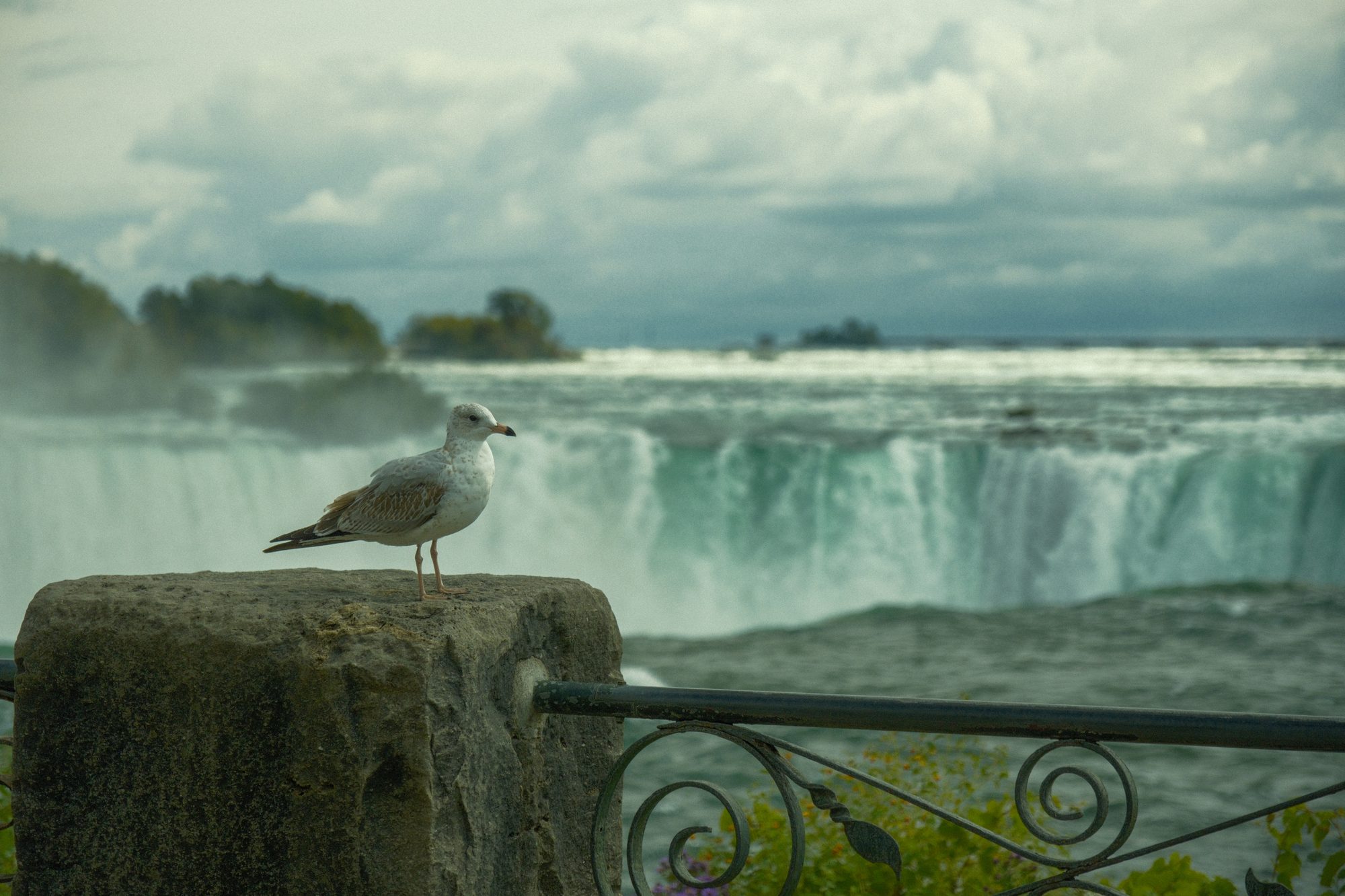 Niagara Falls landscape photography