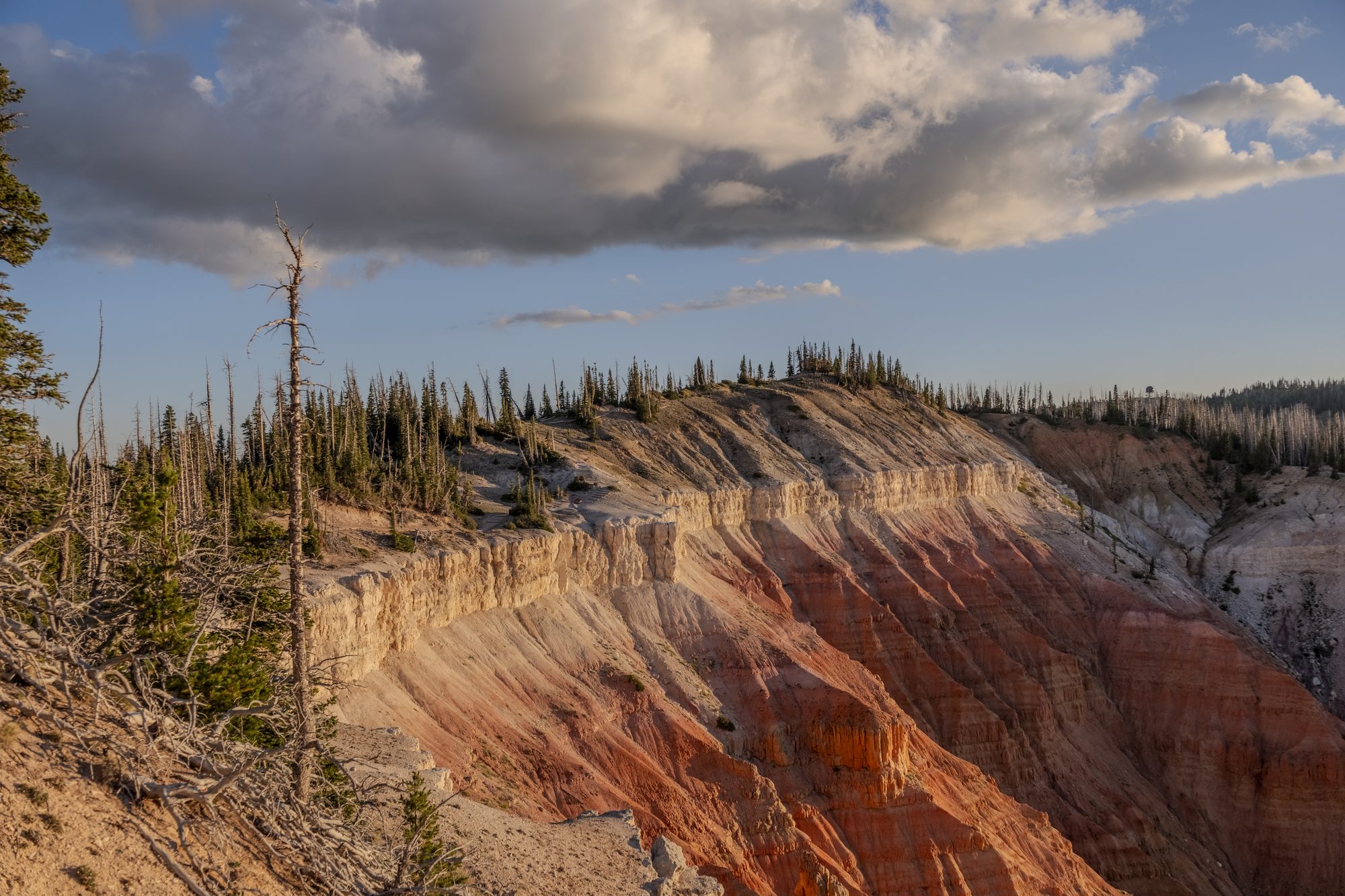 Fine art photography by Orion Media