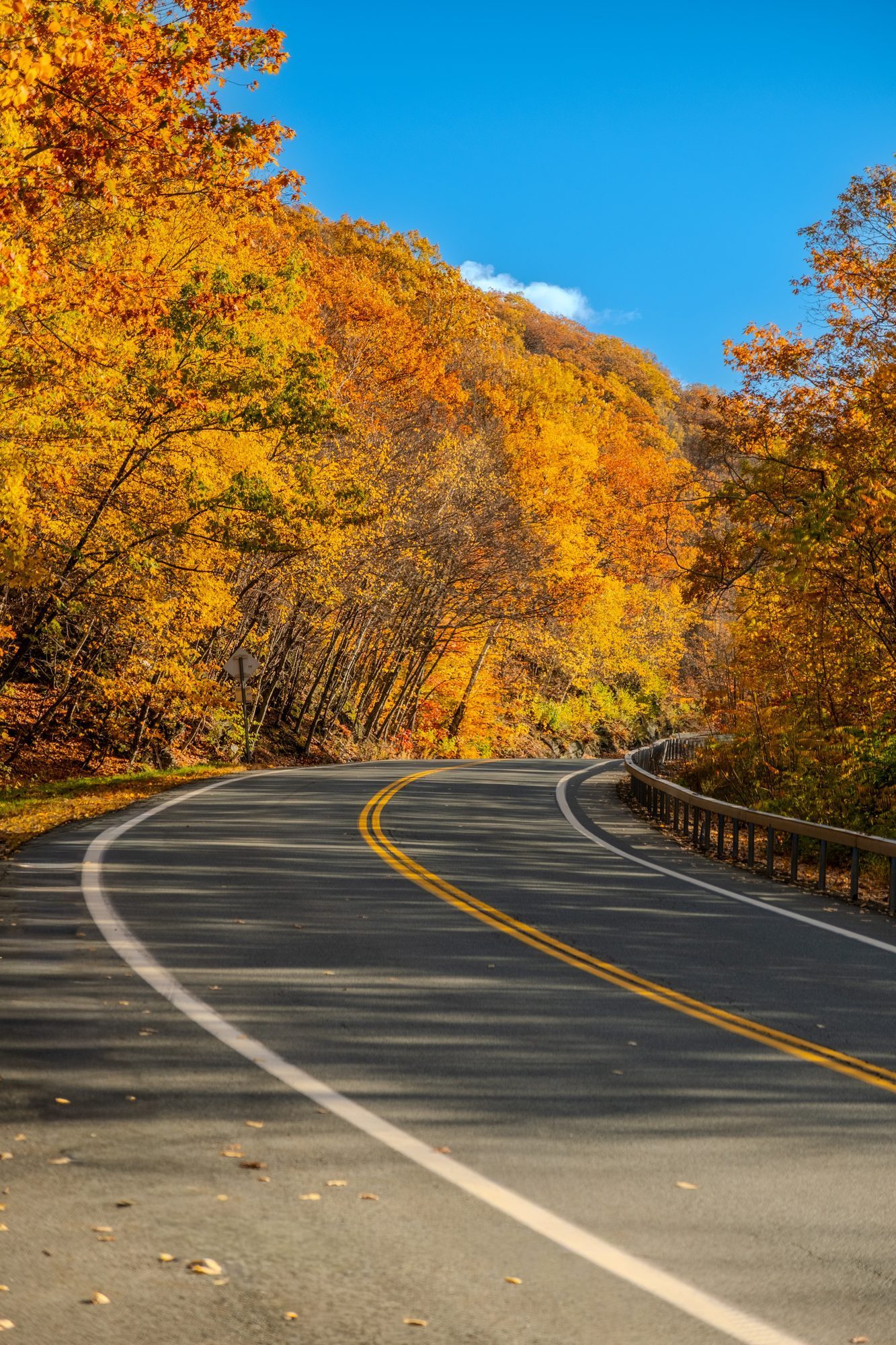 Artistic landscape photography by Orion Media