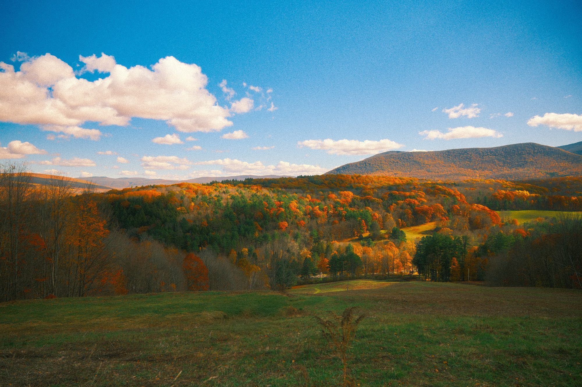 Artistic landscape photography by Orion Media